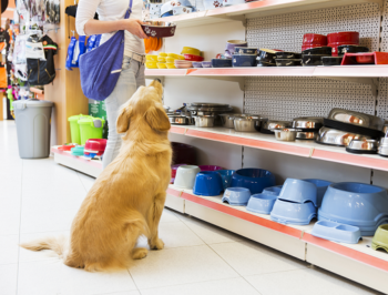 Pet Supplies Spend Less to Get More Veterinarians Richibucto